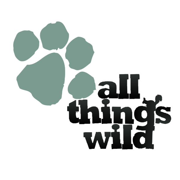 all-thing-wild Mini Crazy Golf Builders - DK Fibreglass