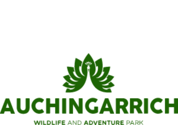 auchingarrich Mini Crazy Golf Builders - DK Fibreglass